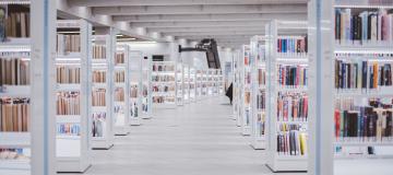 Moderne Bibliothek